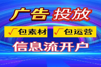 竞价广告策略案例分析